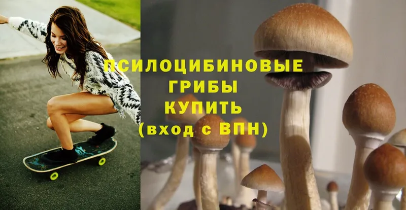 Галлюциногенные грибы Cubensis  Кызыл 